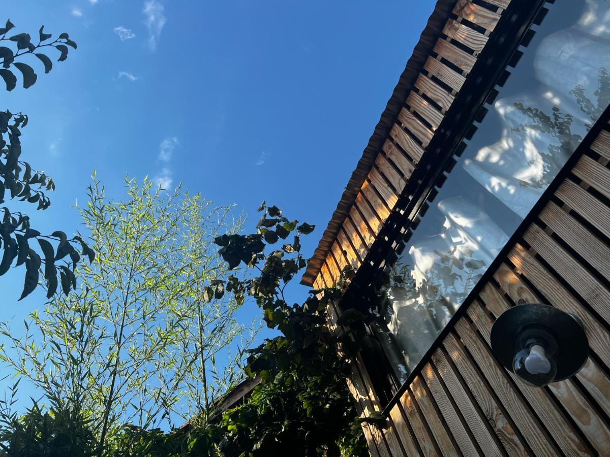 La Cabane Du 375, Piscine Clim,Jacuzzi Et Insolite Saint-Jean-de-Moirans Exterior foto